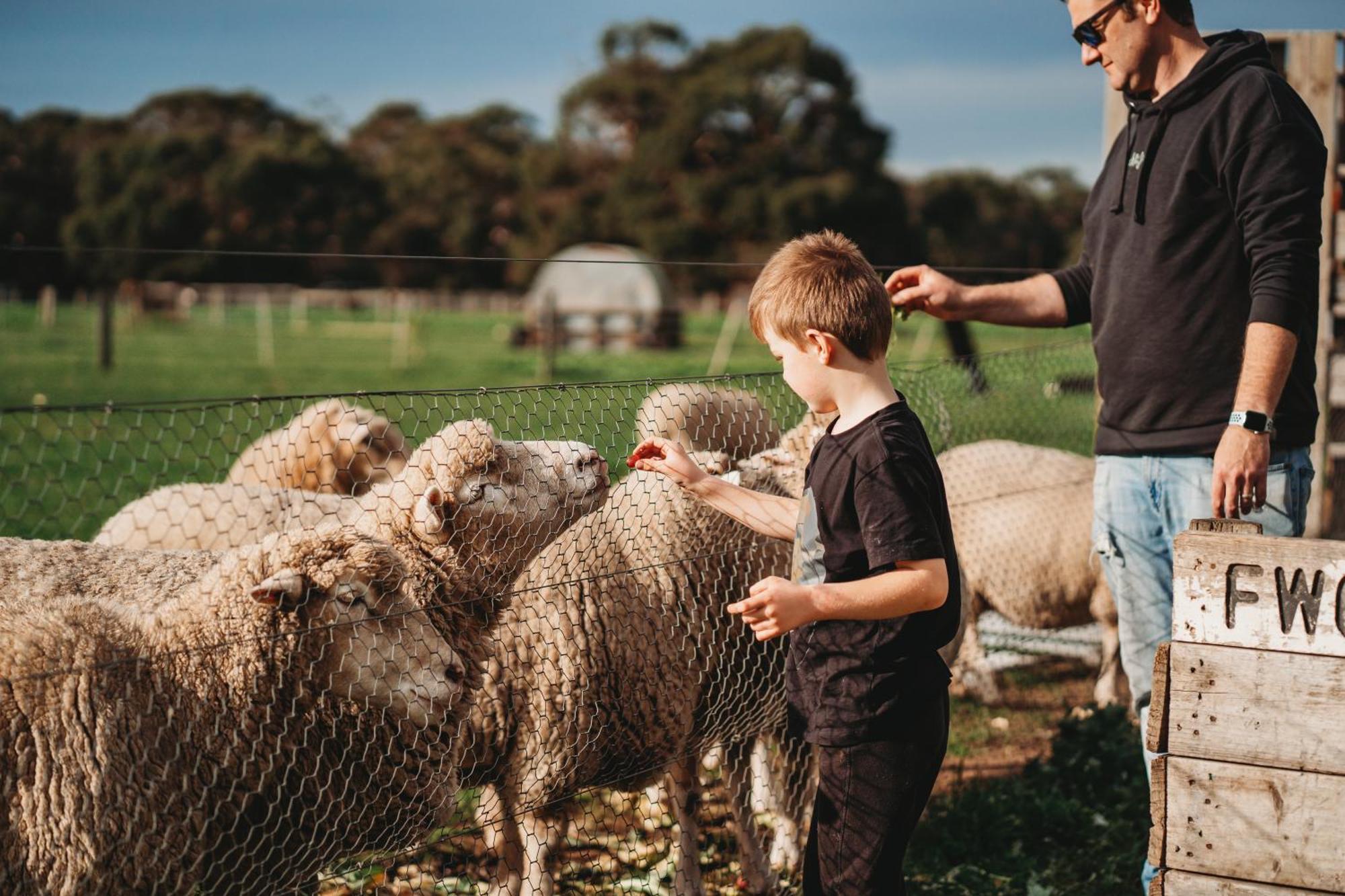 Freshwater Creek Cottages & Farm Stay Torquay Εξωτερικό φωτογραφία
