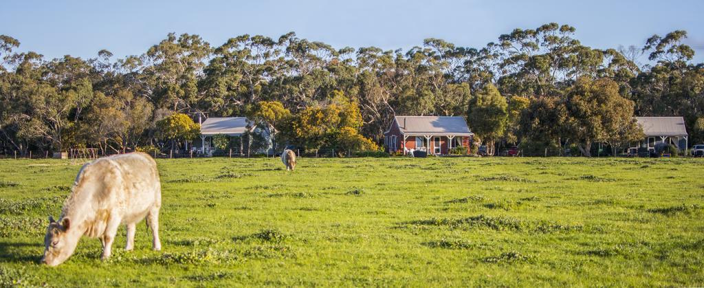 Freshwater Creek Cottages & Farm Stay Torquay Εξωτερικό φωτογραφία